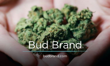 BudBrand.com - Creative brandable domain for sale